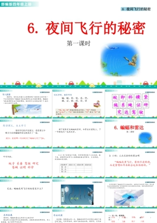 2025统编版四年级上册6 夜间飞行的秘密 课件.pptx