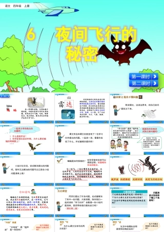 2025统编版四年级上册6 夜间飞行的秘密.pptx