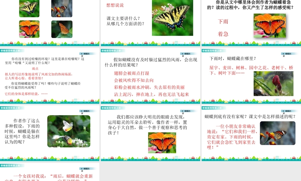2025统编版四年级上册8 蝴蝶的家 课件.pptx