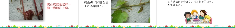 2025统编版四年级上册10 爬山虎的脚 课件.pptx