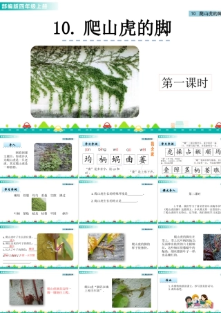 2025统编版四年级上册10 爬山虎的脚 课件.pptx