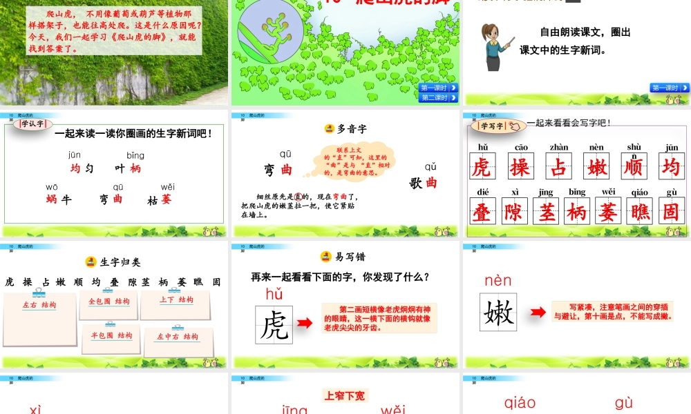 2025统编版四年级上册10 爬山虎的脚.pptx