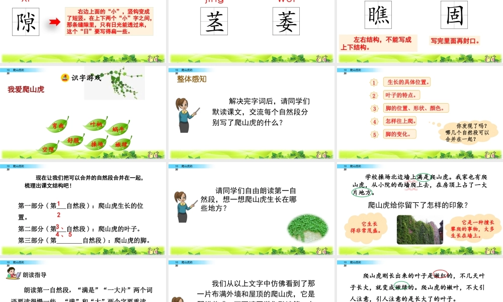2025统编版四年级上册10 爬山虎的脚.pptx
