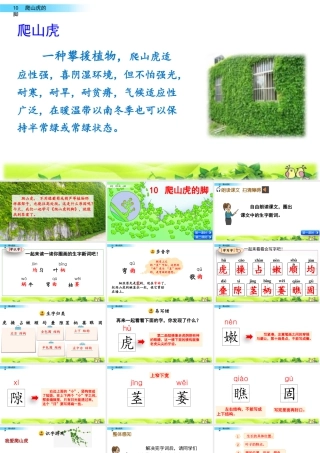 2025统编版四年级上册10 爬山虎的脚.pptx