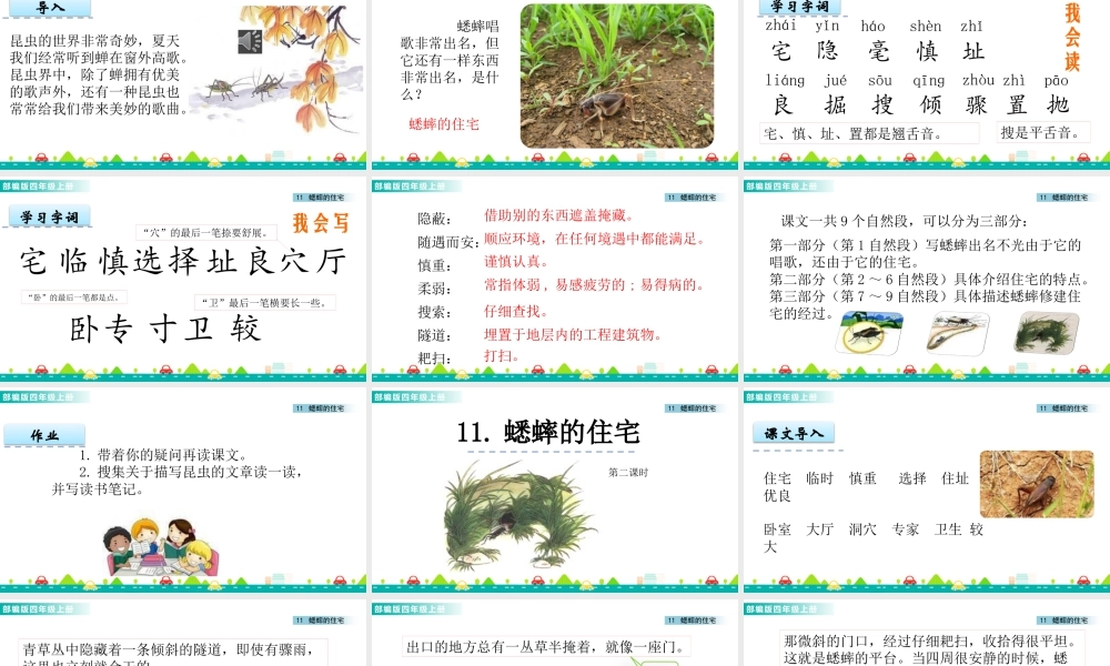 2025统编版四年级上册11 蟋蟀的住宅 课件.pptx