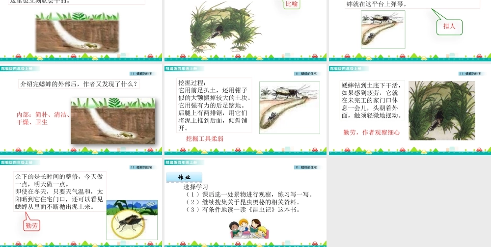 2025统编版四年级上册11 蟋蟀的住宅 课件.pptx