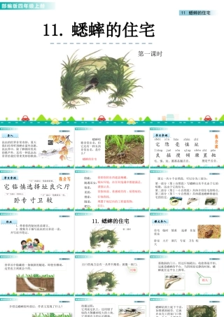 2025统编版四年级上册11 蟋蟀的住宅 课件.pptx