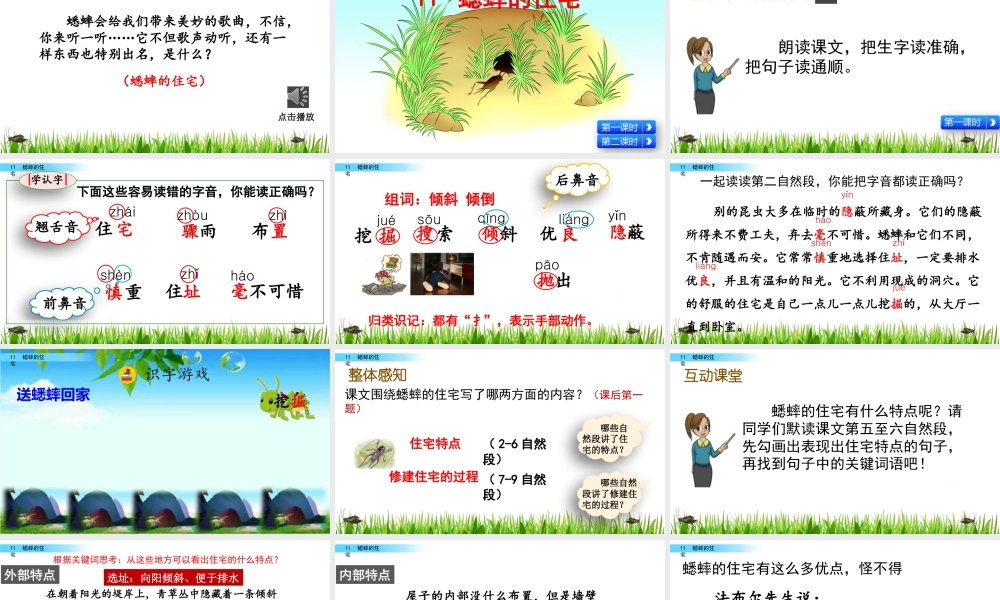 2025统编版四年级上册11 蟋蟀的住宅.pptx