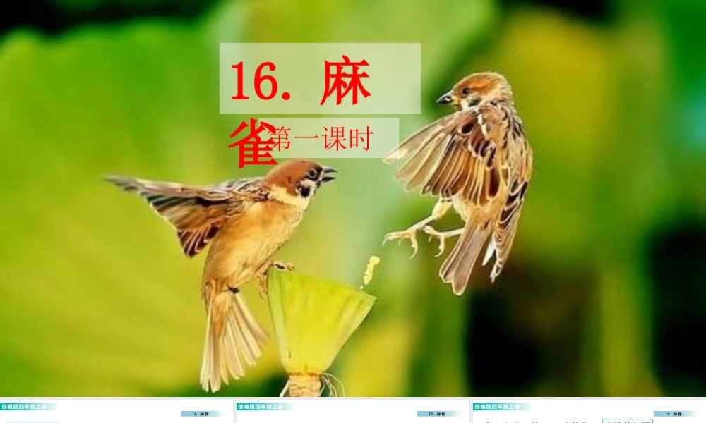 2025统编版四年级上册16 麻雀 课件.pptx