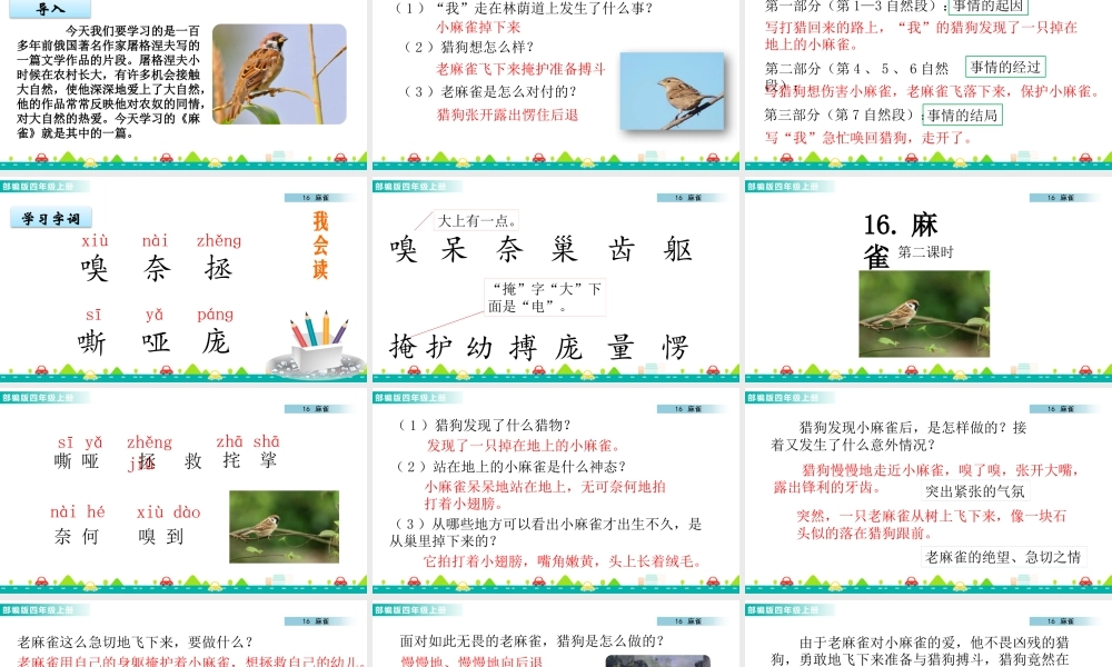 2025统编版四年级上册16 麻雀 课件.pptx