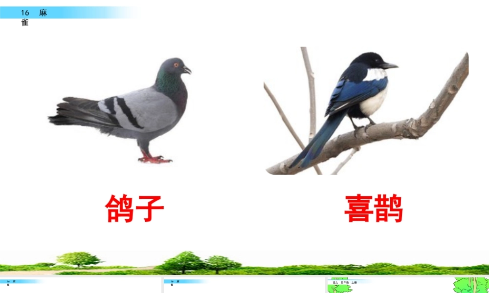 2025统编版四年级上册16 麻雀.pptx