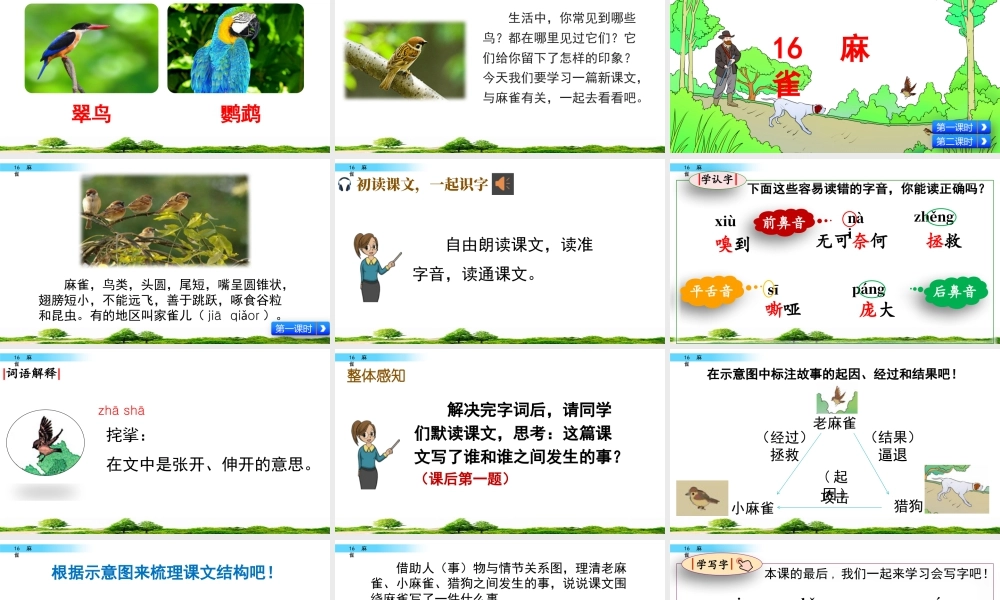 2025统编版四年级上册16 麻雀.pptx