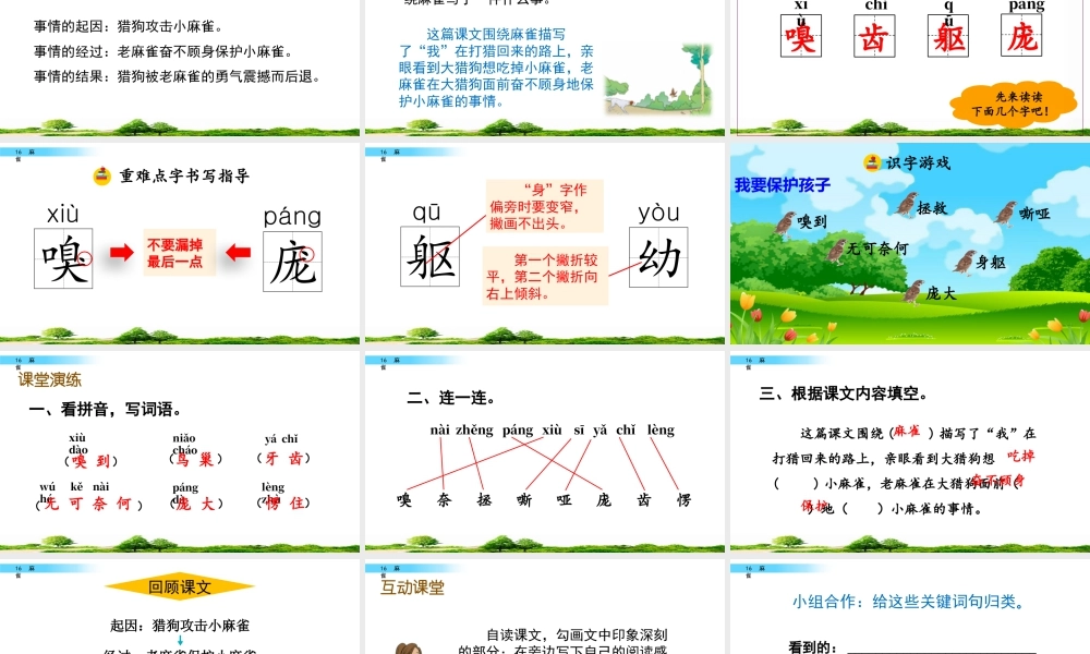 2025统编版四年级上册16 麻雀.pptx