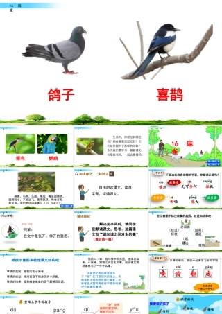 2025统编版四年级上册16 麻雀.pptx