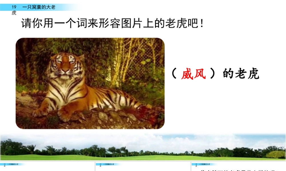 2025统编版四年级上册19 一只窝囊的大老虎.pptx