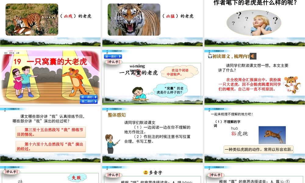 2025统编版四年级上册19 一只窝囊的大老虎.pptx