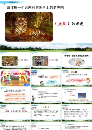 2025统编版四年级上册19 一只窝囊的大老虎.pptx