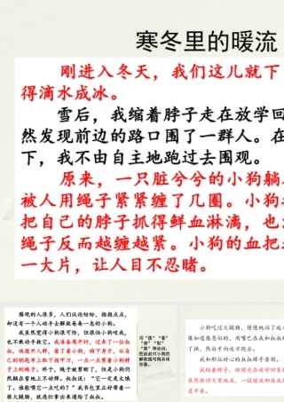 2025统编版四年级上册范文1：寒冬里的暖流.pptx
