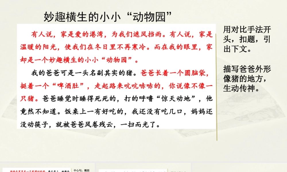 2025统编版四年级上册范文1：妙趣横生的小小“动物园”.pptx