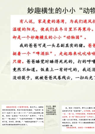 2025统编版四年级上册范文1：妙趣横生的小小“动物园”.pptx