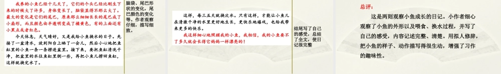2025统编版四年级上册范文1：小鱼成长观察日记.pptx