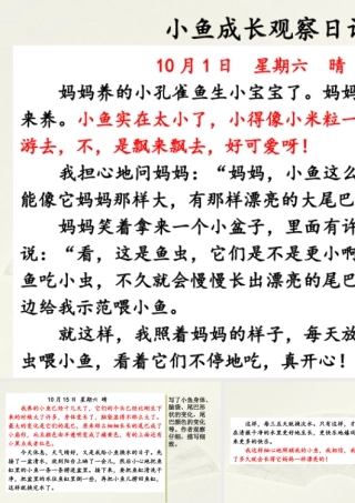 2025统编版四年级上册范文1：小鱼成长观察日记.pptx