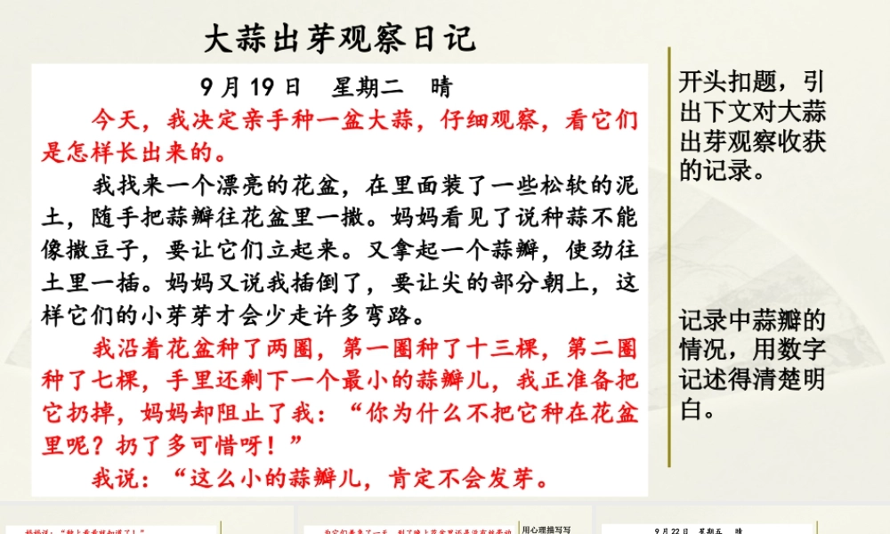 2025统编版四年级上册范文2：大蒜出芽观察日记.pptx