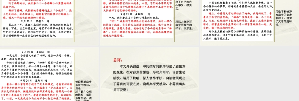 2025统编版四年级上册范文2：大蒜出芽观察日记.pptx