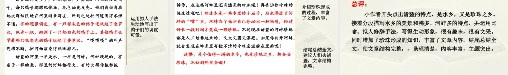 2025统编版四年级上册范文2：水乡诸暨.pptx