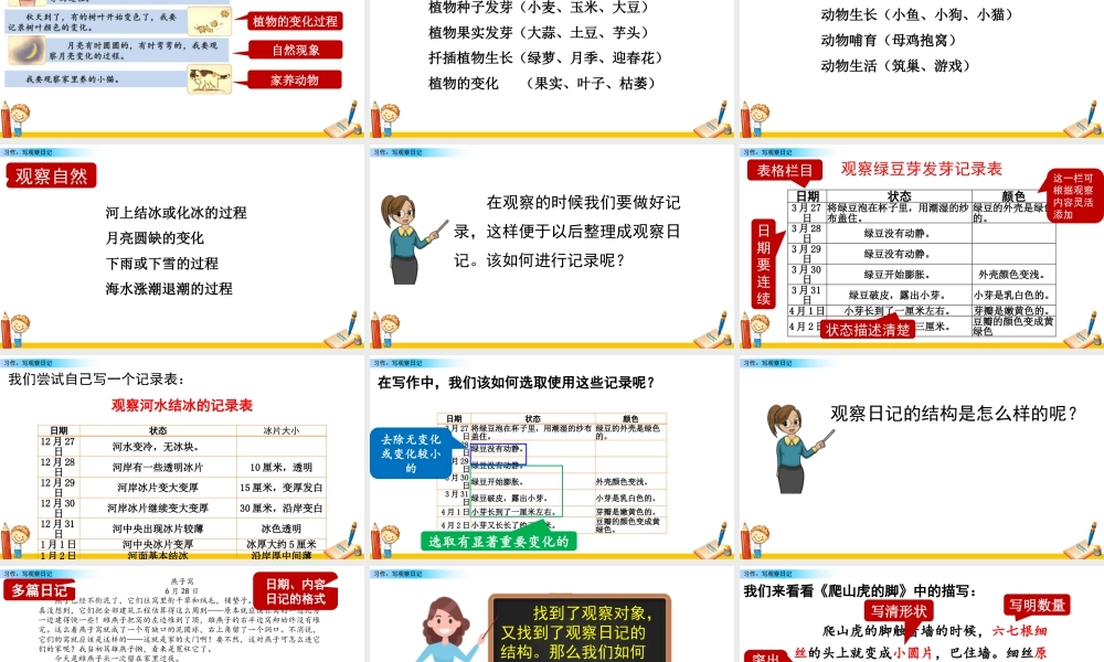 2025统编版四年级上册习作：写观察日记.pptx