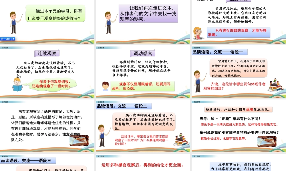 2025统编版四年级上册语文园地.pptx