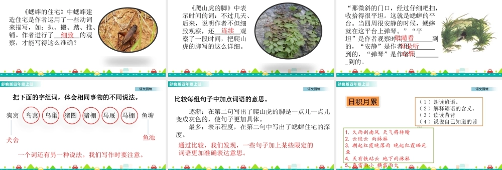 2025统编版四年级上册语文园地三 课件.pptx