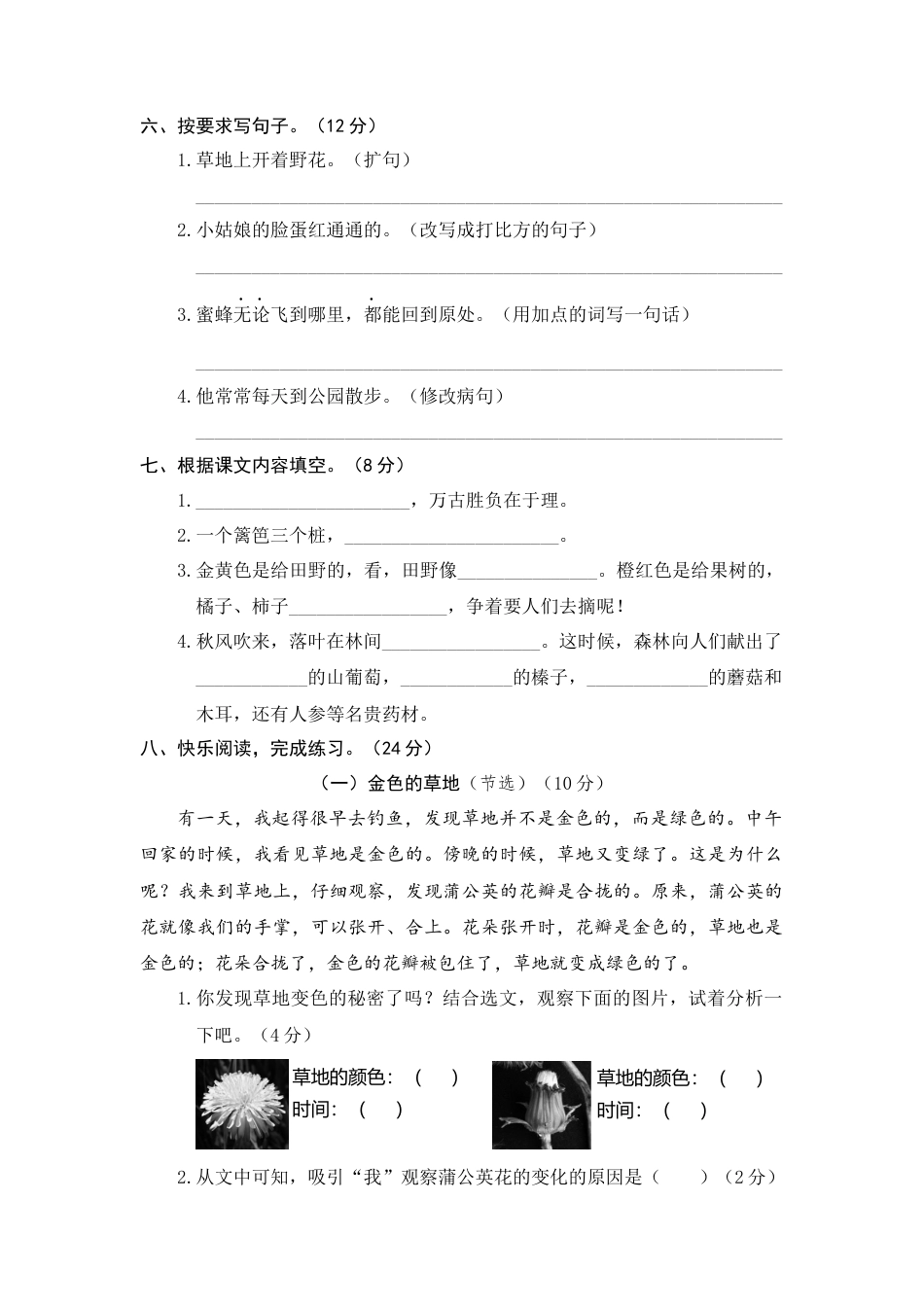 部编版三上语文11.期末精选卷（十一）.docx_第2页