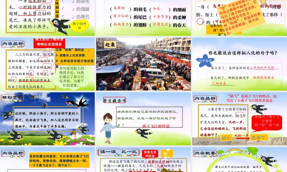 三年级上册语文课件（精品·课堂教学课件）2 燕子.ppt