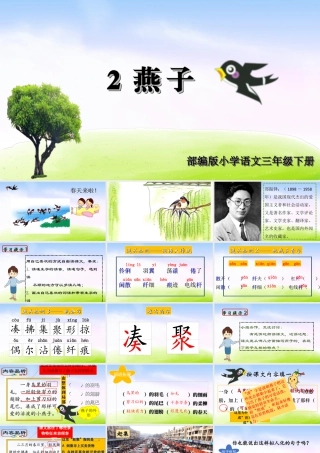三年级上册语文课件（精品·课堂教学课件）2 燕子.ppt
