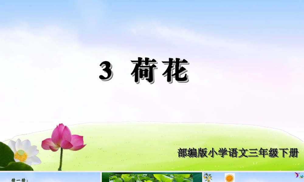 三年级上册语文课件（精品·课堂教学课件）3 荷花.ppt