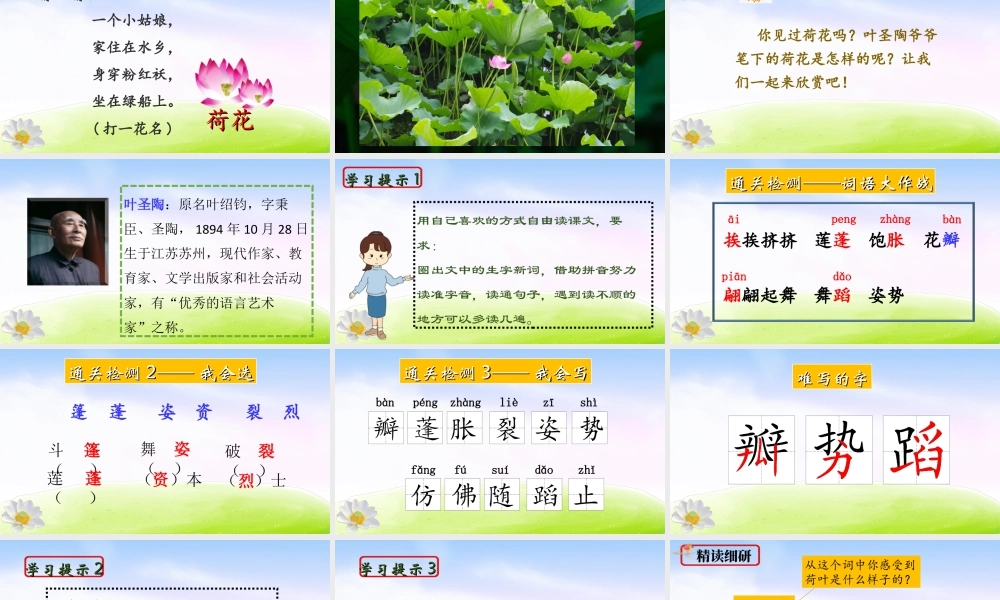 三年级上册语文课件（精品·课堂教学课件）3 荷花.ppt