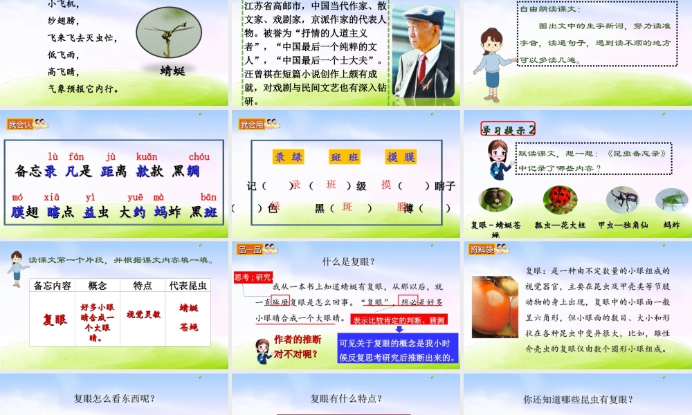 三年级上册语文课件（精品·课堂教学课件）4 昆虫备忘录.ppt