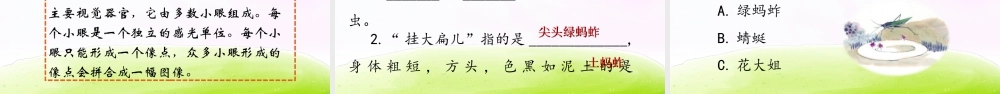 三年级上册语文课件（精品·课堂教学课件）4 昆虫备忘录.ppt