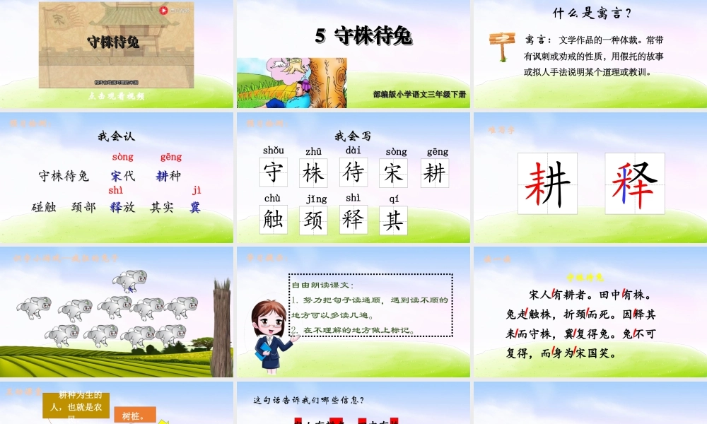 三年级上册语文课件（精品·课堂教学课件）5 守株待兔.ppt