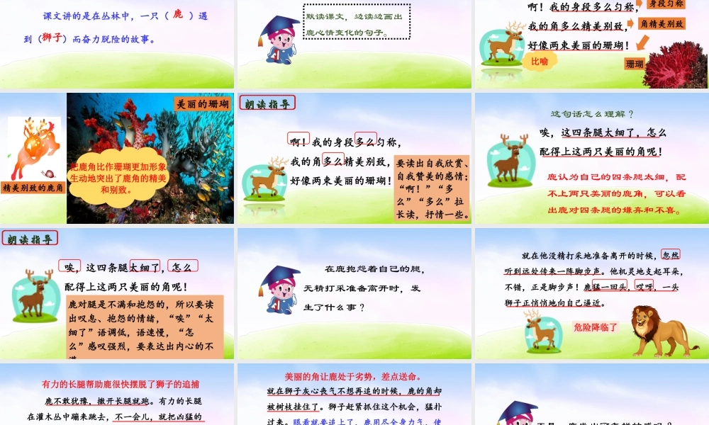 三年级上册语文课件（精品·课堂教学课件）7 鹿角和鹿腿.ppt