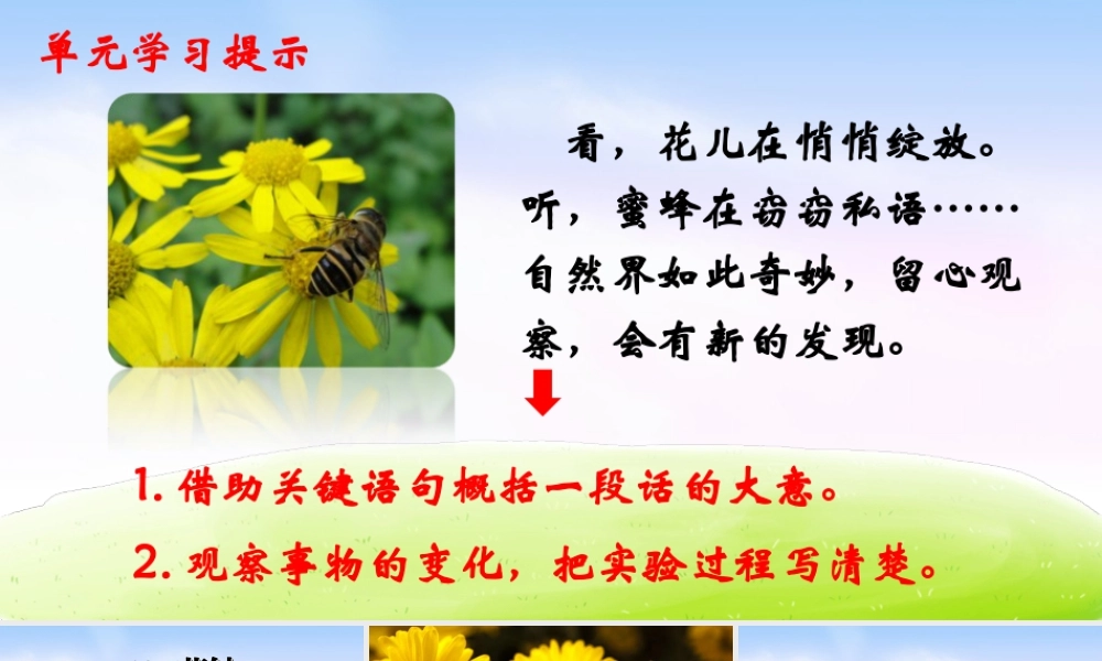 三年级上册语文课件（精品·课堂教学课件）13 花钟.ppt