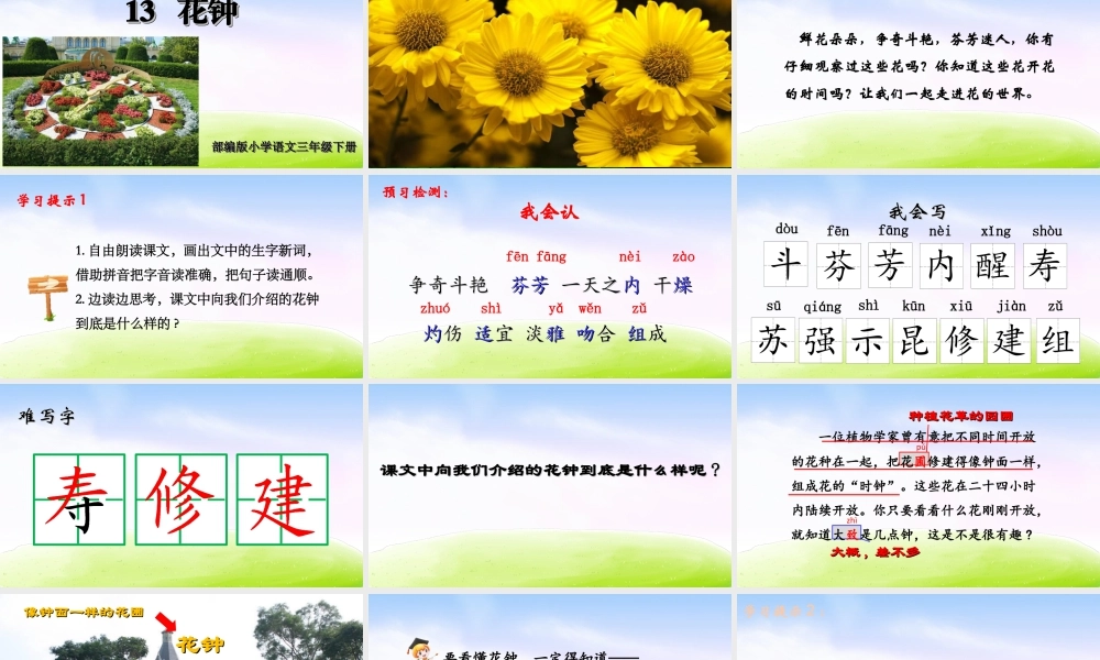三年级上册语文课件（精品·课堂教学课件）13 花钟.ppt
