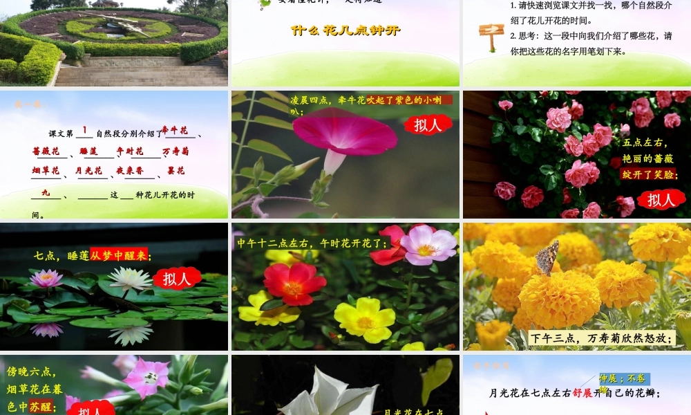 三年级上册语文课件（精品·课堂教学课件）13 花钟.ppt