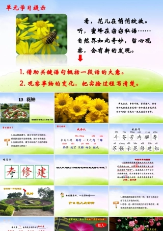 三年级上册语文课件（精品·课堂教学课件）13 花钟.ppt