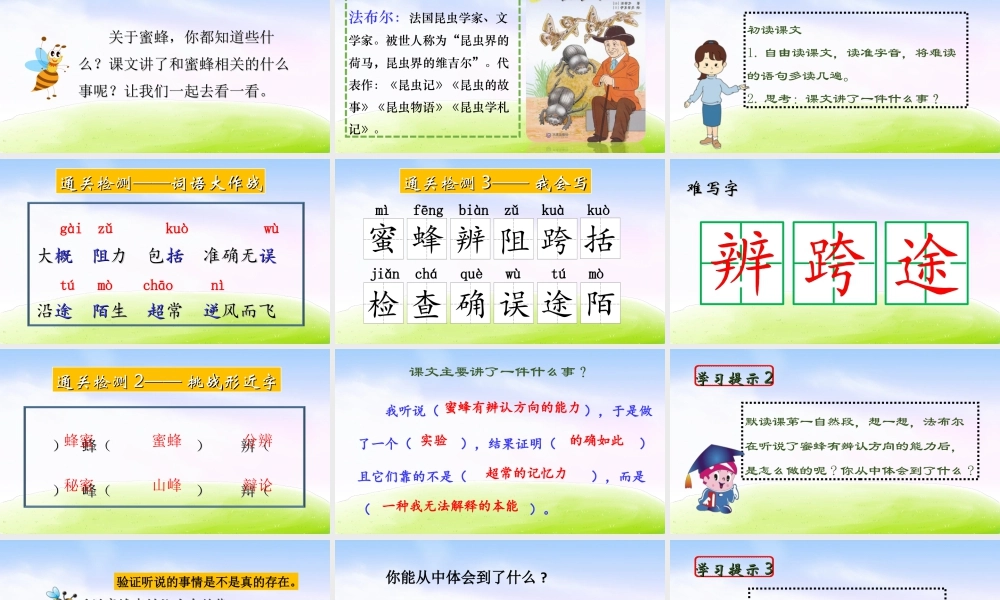 三年级上册语文课件（精品·课堂教学课件）14 蜜蜂.ppt