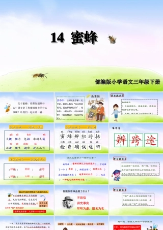 三年级上册语文课件（精品·课堂教学课件）14 蜜蜂.ppt
