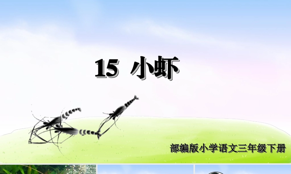 三年级上册语文课件（精品·课堂教学课件）15 小虾.ppt