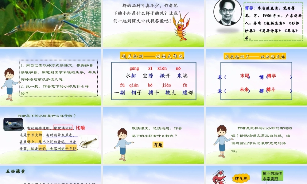 三年级上册语文课件（精品·课堂教学课件）15 小虾.ppt