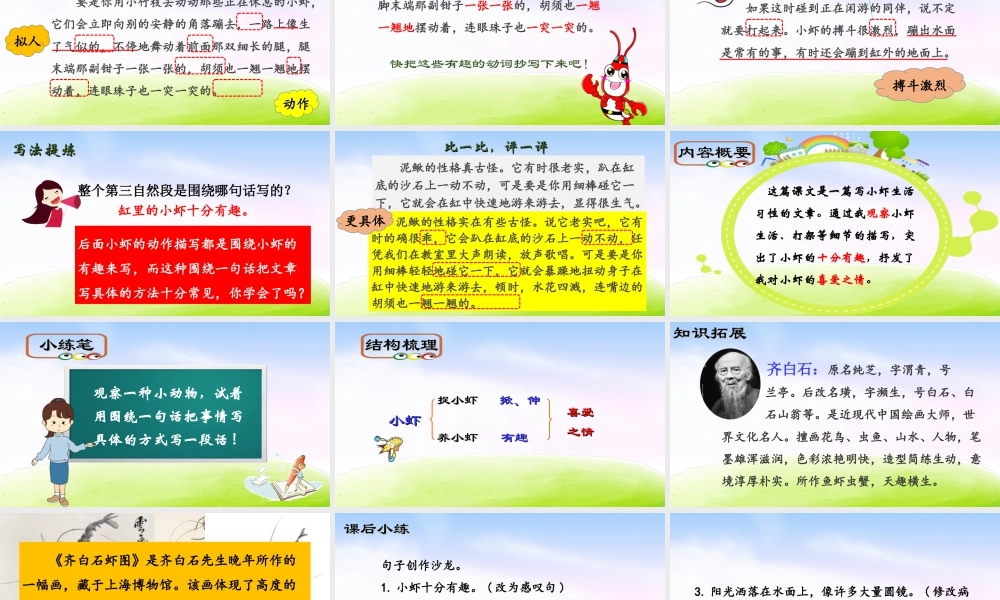三年级上册语文课件（精品·课堂教学课件）15 小虾.ppt